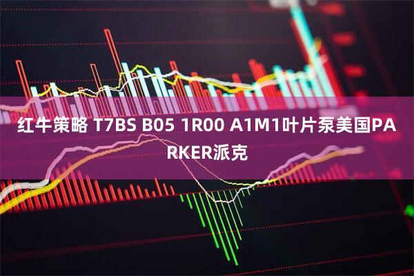 红牛策略 T7BS B05 1R00 A1M1叶片泵美国PARKER派克