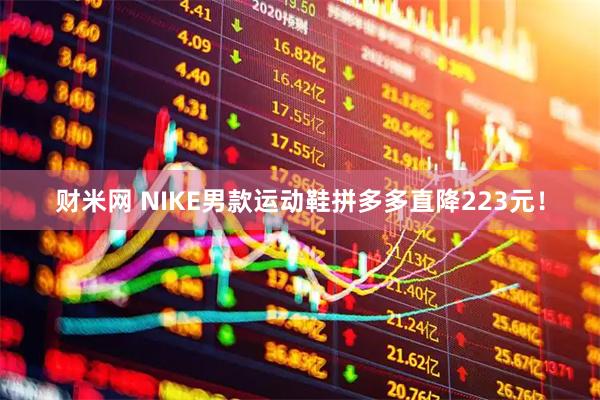 财米网 NIKE男款运动鞋拼多多直降223元！