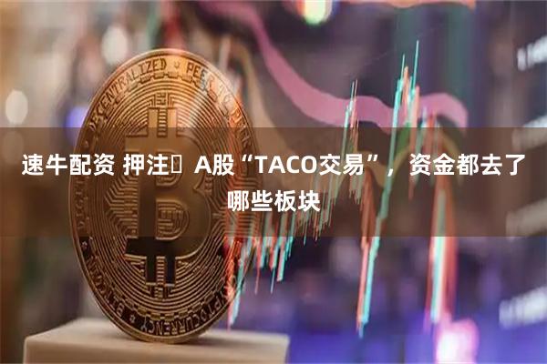 速牛配资 押注​A股“TACO交易”，资金都去了哪些板块