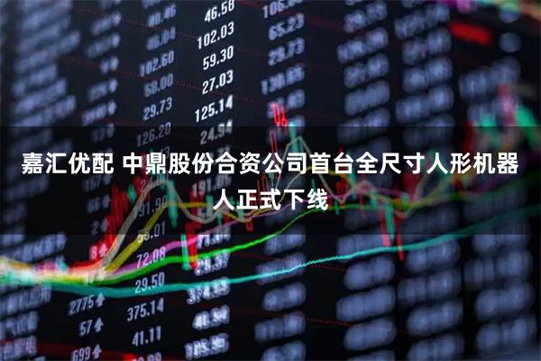嘉汇优配 中鼎股份合资公司首台全尺寸人形机器人正式下线