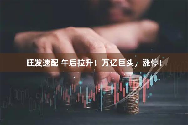 旺发速配 午后拉升！万亿巨头，涨停！